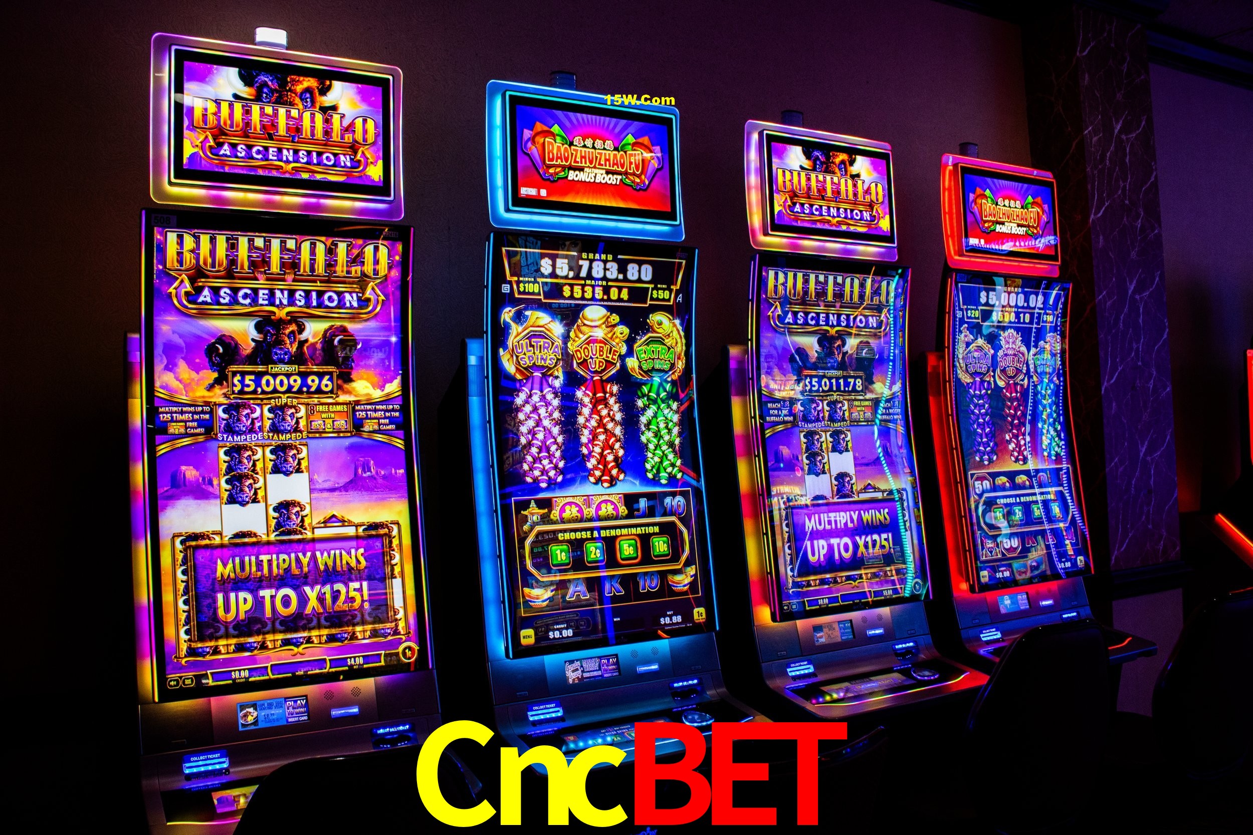 Live Casino Cncbet